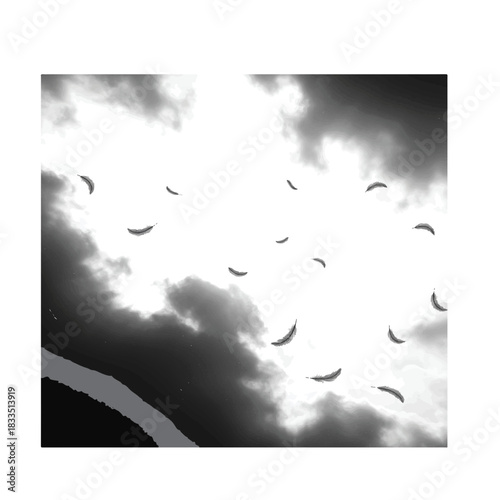Birds flying in a cloudy sky black and white photography freedom and movement.