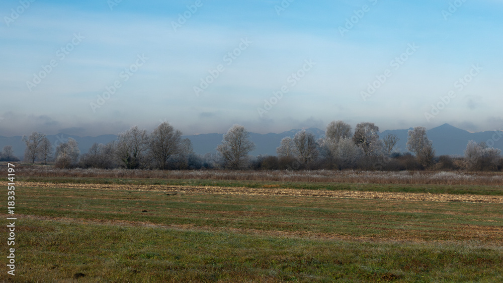 Obraz premium Rural winter misty European sunrise landscape with frosty trees, field and mountains