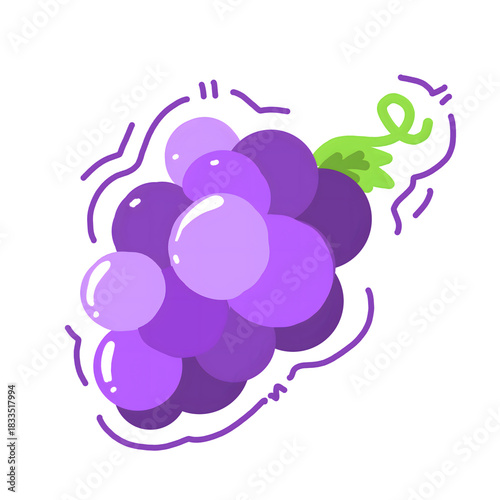vector illustration of grapes