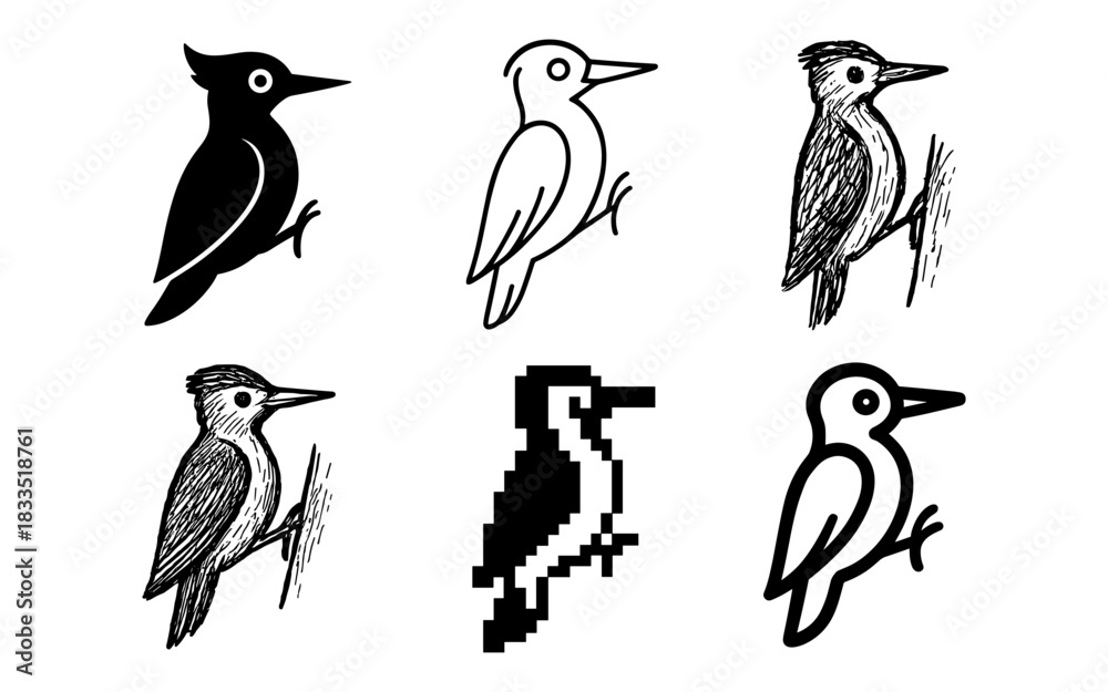 Fototapeta premium Diverse woodpecker styles: silhouette, outline, pixel art, linear, simplistic, detailed