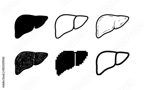 Set of minimalistic liver icons in different artistic styles