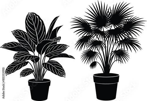 Two black silhouettes of potted plants, vector illustration featuring broad leaf foliage and fan palm tree in pots, isolated on white.