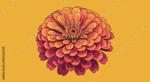 Isolated bloom with tightly layered petals, shades of orange and red