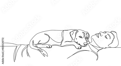 Line drawing of a sleeping dog resting beside a person on a bed or couch, in a cozy indoor setting, with a sense of tranquility and companionship on a transparent background