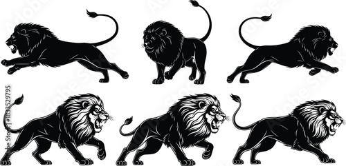 Set of six lion silhouettes, black vector illustrations of running and roaring wild animals, isolated on white background, predator design collection, forceful nature art.
