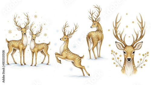Watercolor Christmas Deer Clipart Set, Cute Winter Reindeer Illustrations, Woodland Stag and Fawn Art
