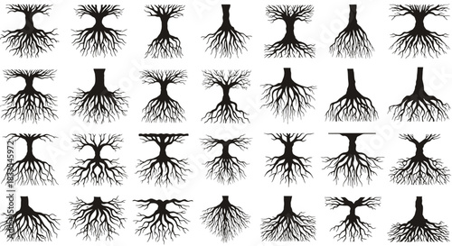 Set of diverse tree silhouettes in vector format, showcasing various root systems and trunk shapes, ideal for nature-themed designs and ecological illustrations.