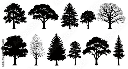 A diverse collection of detailed black silhouette vector trees, perfect for graphic design projects and natural environment illustrations, isolated on white.