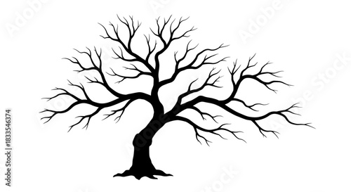 A silhouette vector illustration of a bare tree with intricate branches against a clean white background, perfect for nature-themed designs and artistic projects.