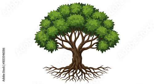 A vibrant, stylized illustration of a mature green tree with a strong trunk and intricate roots, standing isolated on a clean white background.