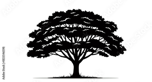A beautifully detailed black silhouette of a mature deciduous tree stands majestically, perfect for graphic design projects and nature-themed illustrations.