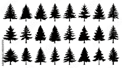 A diverse collection of black evergreen tree silhouettes, perfect for winter holiday designs and nature-themed vector illustrations.