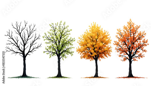 A vector illustration showing a tree in four distinct seasons, from bare winter branches to lush summer foliage and vibrant autumn colors, isolated on white.