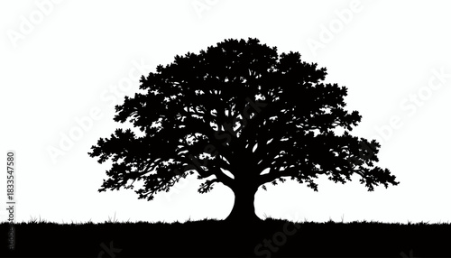 Isolated against a white backdrop, a solitary tree stands majestically, its intricate branches creating a striking silhouette, perfect for nature-themed designs and artistic compositions.