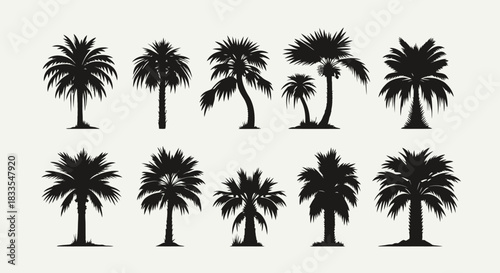 A collection of ten vector palm tree silhouettes is presented against a plain background, ideal for design projects needing tropical or exotic elements.