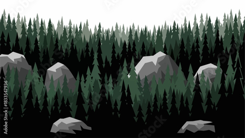 Several large grey rocks scattered in a dark forest setting.