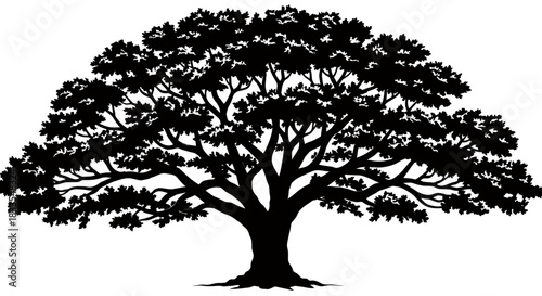 A solitary deciduous tree silhouette stands majestically, its intricate branches creating a captivating vector graphic against a transparent png background.