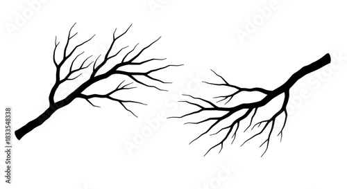 Two stark, bare tree branches in silhouette, rendered as a versatile vector graphic element, perfect for seasonal or nature-themed design projects.