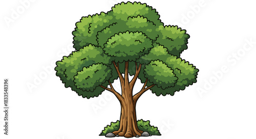 An appealing vector graphic of a classic green tree, featuring a detailed trunk and full foliage, ideal for various digital and print applications.