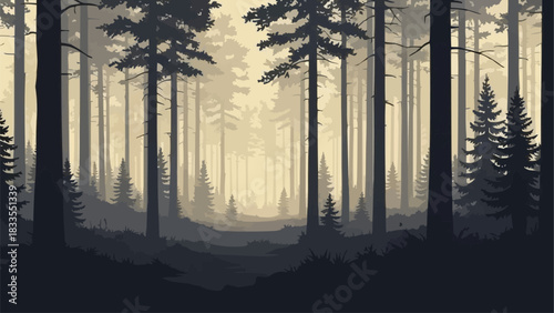 Silhouetted Pine Trees in a Dense Misty Forest.