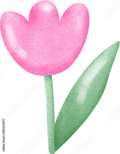Pink Tulip with Green Leaf Illustration