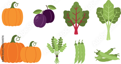Assortment of Fresh Fruits and Vegetables Pumpkins, Plums, Swiss Chard, and More