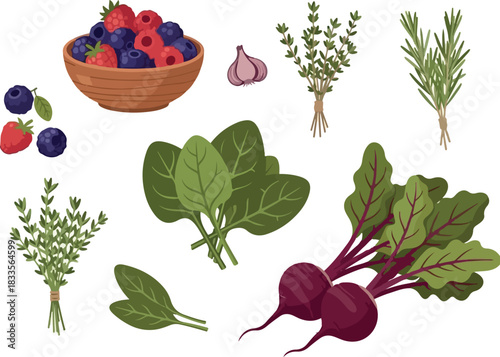 A vibrant collection of fresh, healthy ingredients assorted berries, aromatic herbs like thyme and rosemary, earthy beets, and crisp spinach, perfect for nutritious meal preparation