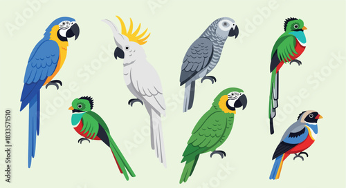 Colorful parrots collection with transparent background