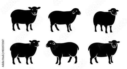 Set of Six Black Sheep Silhouettes Standing Side by Side.