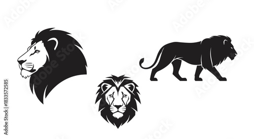 Set of Lion Illustrations Featuring Head Profile and Full Body Silhouette.