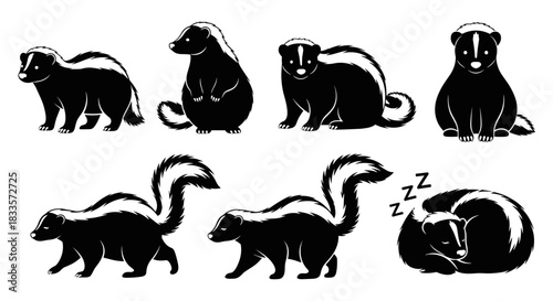 Collection of Black and White Skunk Illustrations in Various Poses.