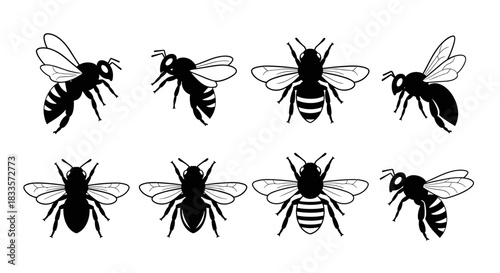 Collection of Eight Black and White Bee Silhouettes in Various Poses.