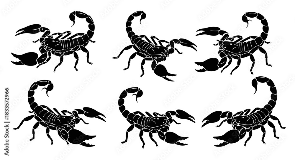 Fototapeta premium Six Black Scorpions Silhouette Collection Graphic Design.