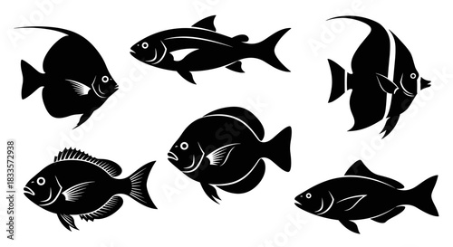 Collection of Six Black Silhouette Tropical Fish Species.