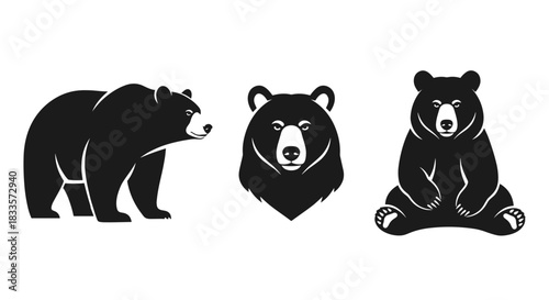 Set of three black bear illustrations showing different poses and a close-up of the head.