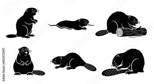 Set of six black silhouette illustrations of beavers in various poses and activities.