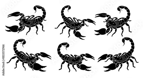 Six Black Scorpions Silhouette Collection Graphic Design.