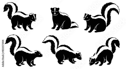 Collection of six black and white skunk illustrations in various poses.
