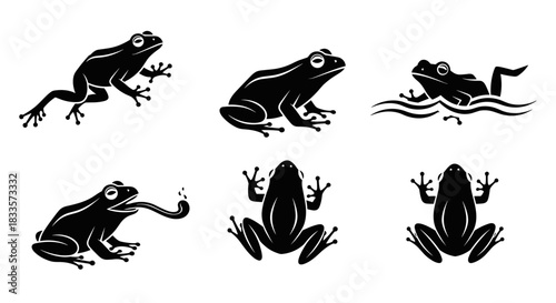 Set of six black frog silhouettes in various poses and actions.