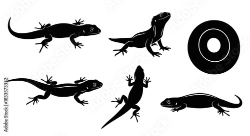 Collection of Black Lizard Silhouettes in Various Poses.