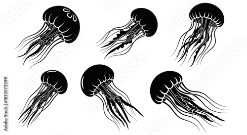 Set of six black jellyfish illustrations with flowing tentacles.