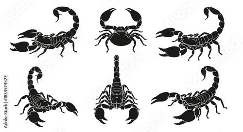 Collection of Six Black Scorpion Silhouettes in Various Poses.