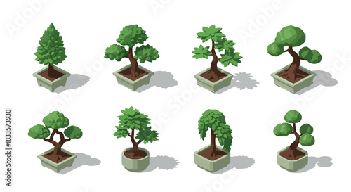 Potted bonsai trees collection in square planters