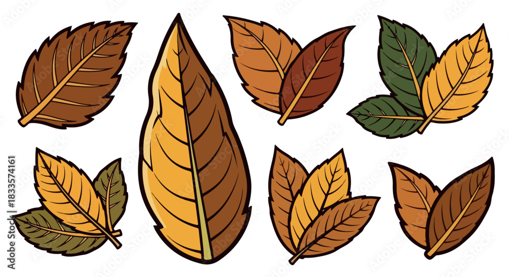 Obraz premium Autumn leaves collection with transparent background