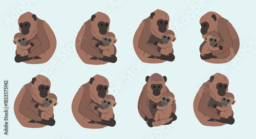 Gibbon mother and baby in various poses