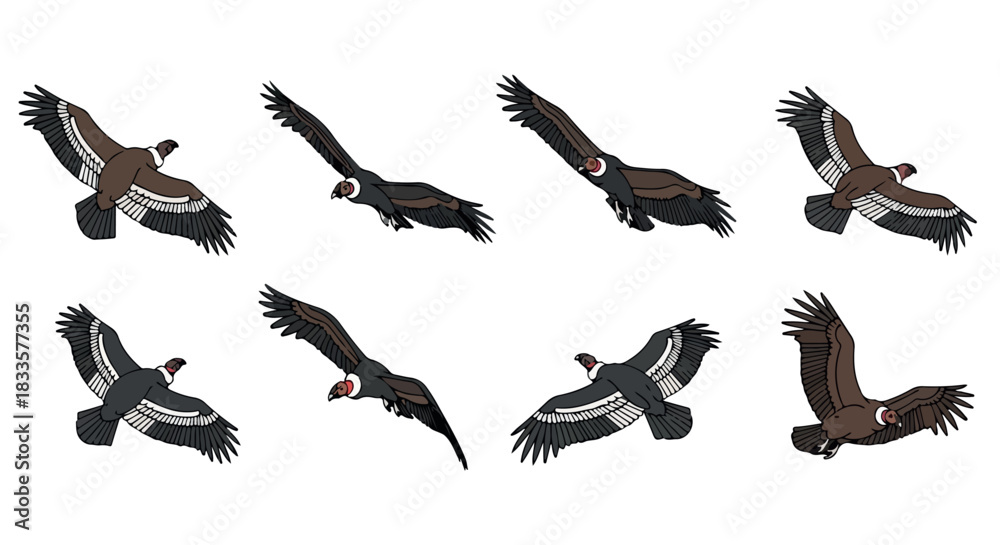 Obraz premium Flying vultures in various poses with transparent background