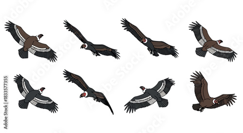 Flying vultures in various poses with transparent background