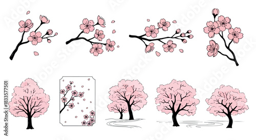 Cherry blossom branches and trees with transparent background