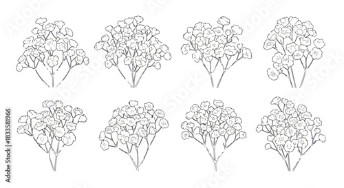 Small bush outlines set with transparent background