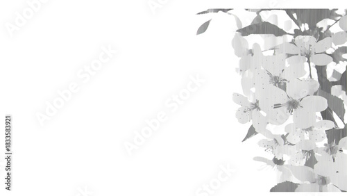 Vector illustration of delicate spring apple blossoms blooming on a branch on transparent background